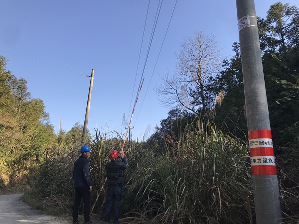 國網(wǎng)南豐縣供電公司：為電桿穿上“防撞衣”，確保交通安全