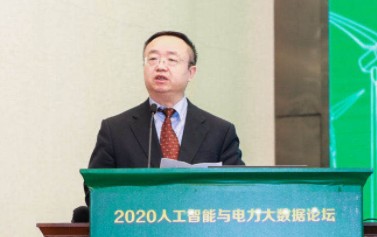 國(guó)家電網(wǎng)有限公司大數(shù)據(jù)中心主任、黨委副書記 王繼業(yè)：激活電力大數(shù)據(jù)價(jià)值 落實(shí)公司碳達(dá)峰碳中和行動(dòng)方案