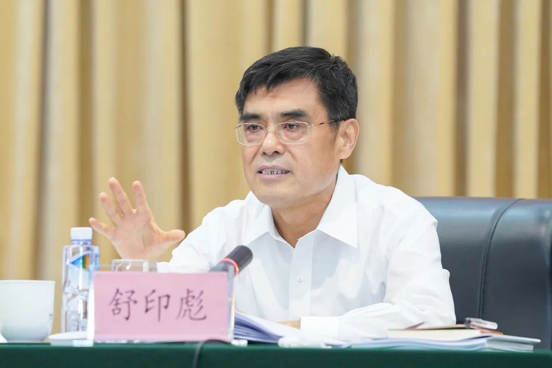 舒印彪：發(fā)展新型電力系統(tǒng)，助力“雙碳”目標