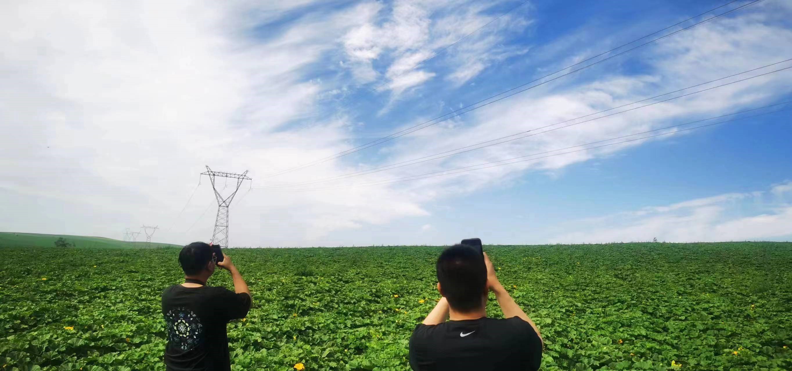 四子王輸變電管理處：防外力破壞，助安全運行